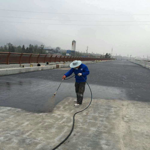 胎体增强型聚合物改性沥青防水涂料说明书 德西尼